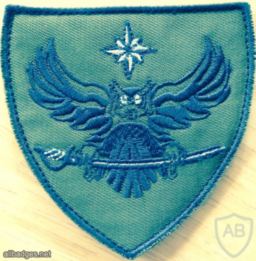 Estonia Military Intelligence Patch img57856