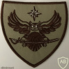 Estonia Military Intelligence Patch img57855