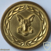 South African Army Intelligence School Medallion