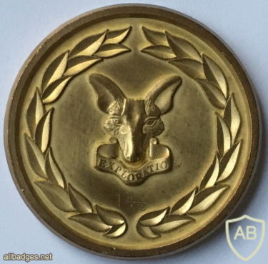 South African Army Intelligence School Medallion img57960