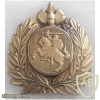 Lithuania VST Cap Badge