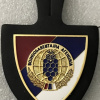Serbian Military Intelligence Agency Badge img57902