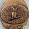 Romanian Directorate of Military Intelligence Pin