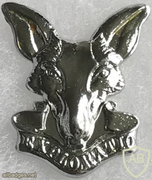 South African Army Intelligence Collar Badge img58069
