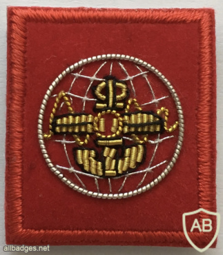 Singapore Army Intelligence Corps Dress Uniform Collar Badge img58057