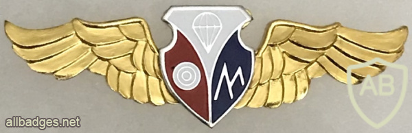 Taiwan Military Intelligence School Badge img58051