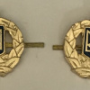 Ukraine Security Service collar badge