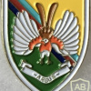 British Army - 14 Intelligence Company Pin