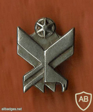 סמל ישן מאוד המשמר האזרחי מראשית המשא"ז 1974 img58277