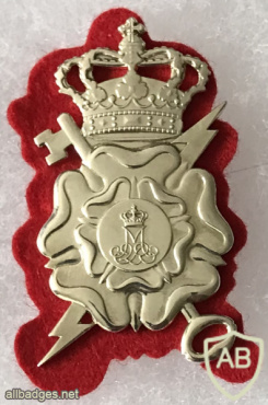 Danish Army Intelligence Corps - 1st Intelligence, Surveillance & Reconnaissance Battalion (1 ISRBTN)  Beret Badge img58225