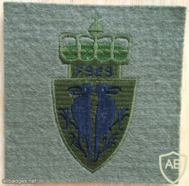 NORWAY - Norwegian Army Military Intelligence and Security School Patch img58373