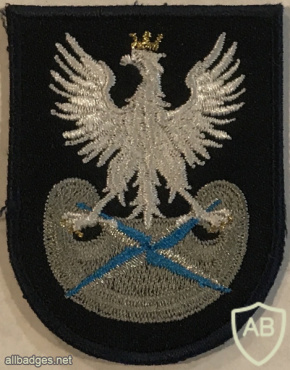 Poland - Foreign Intelligence Agency Beret Badge img58366