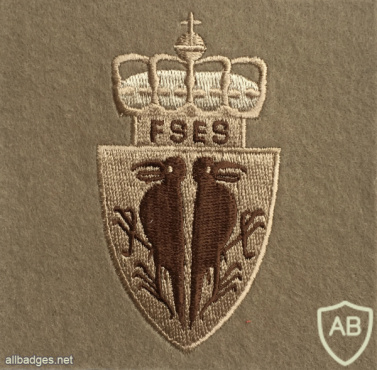 NORWAY - Norwegian Army Military Intelligence and Security School Patch img58372