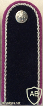 Lithuania VSD Rank Shoulder Board img58321