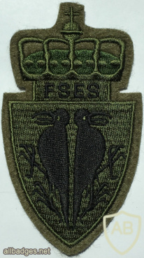 NORWAY - Norwegian Army Military Intelligence and Security School Patch img58371