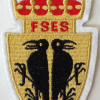 NORWAY - Norwegian Army Military Intelligence and Security School Patch