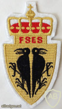 NORWAY - Norwegian Army Military Intelligence and Security School Patch img58375