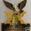 Venezuela SEBIN EOD Explosive Ordnance Disposal Unit Badge img58414