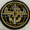 Singapore Navy Intelligence Corps Dress Uniform Collar Badge