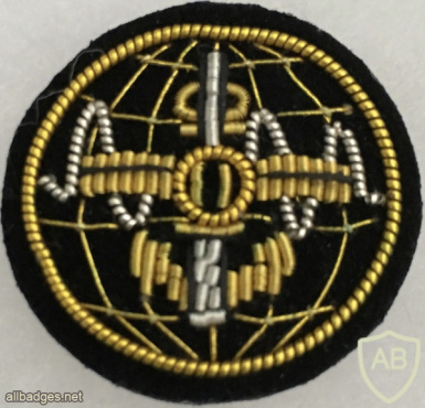 Singapore Navy Intelligence Corps Dress Uniform Collar Badge img58289