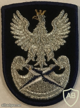 Poland - Foreign Intelligence Agency Beret Badge img58367