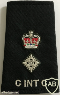 Canadian Army - Military Intelligence - Lieutenant Colonel Rank (English) img58440