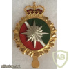 Canada - Army - Intelligence Corps Cap Badge img58448