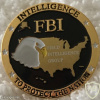 FBI Field Intelligence Group Pin