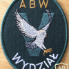 Poland - ABW "V" Department Antiterror/Intervention Patch