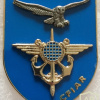 France - Joint Intelligence Training Center Badge