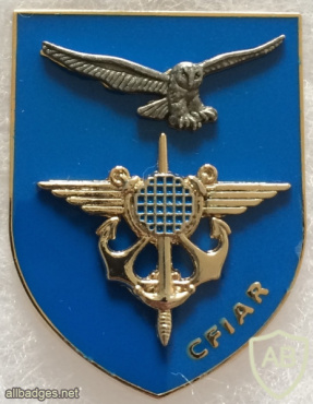 France - Joint Intelligence Training Center Badge img58466