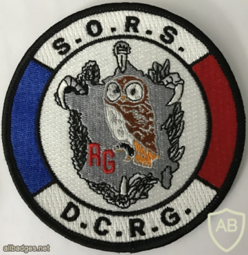France National Central Directorate of General Intelligence - Operational Section and Specialized Research Patch img58590