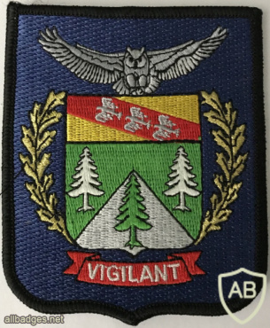 France National Central Directorate of General Intelligence Patch img58592