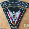 Poland - UOP Antiterror Beret Patch img58621