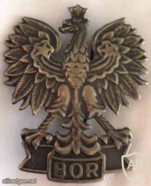 Poland - BOR - Cap Badge img58673