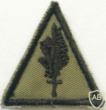Portugal - Army - Human Intelligence Patch img58729