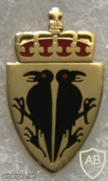 NORWAY - Norwegian Army Military Intelligence and Security Pin img58733