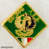 Italy - Military - Interforce Intelligence Center - A.E.S. Group Pin