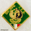 Italy - Military - Interforce Intelligence Center - A.E.S. Group Pin img58713