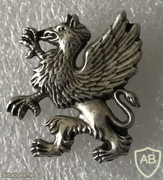 France - COS - 13° RDP 3rd Squadron Pin img58728