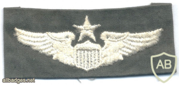 US Air Force Senior Pilot Badge img58783