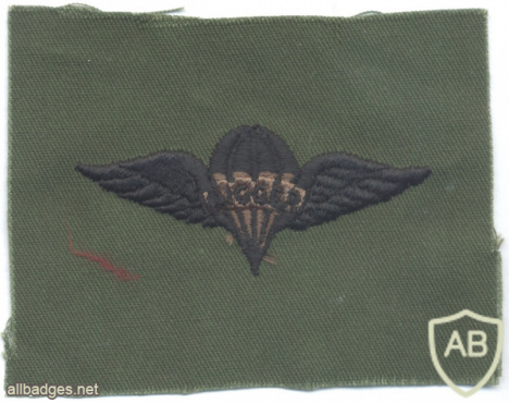 US Army Parachute Rigger Badge, cloth, subdued, 1970s-1980s img58782