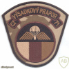 CZECH REPUBLIC 4th Rapid Deployment Brigade, 43rd Parachute Battalion sleeve patch, desert