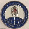 Spain - National Intelligence Center (CNI) Pin img58816