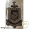 Spain - Military - Superior Center of Defense Information Pin