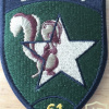 Switzerland - Air Force - Intelligence Section 6, 61 Coy Patch