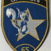 Switzerland - Air Force - Intelligence Section 6, 65 Coy Patch
