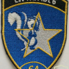 Switzerland - Air Force - Intelligence Section 6, 64 Coy Patch