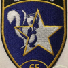 Switzerland - Air Force - Intelligence Section 6, 65 Coy Patch