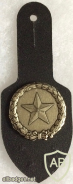 Switzerland - Army - Intelligence Occupation Pocket Badge img58885